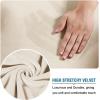image:imageHVERSAILTEX Real Velvet Plush 3 Piece Stretch Sofa Covers Couch Covers for 2 Cushion Couch Loveseat Covers Width Up to 72 Inch Feature Thick Soft Stay in Place Medium Sofa Bronze BrownCream