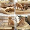 image:imageHVERSAILTEX Dog Door Mat for Muddy Paws Absorbent Dirt Trapper Non Slip Quick Dry Washable Chenille Mats for Dogs Entry Rug for Indoor Outdoor Chocolate 24 x 36Beige