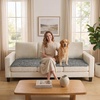 image:imageHVERSAILTEX Chenille Couch Cover for Dogs Washable Soft Chair Armchair Covers Sectional Sofa Cover NonSlip Thick Couch Furniture Protector Dog Pet Bed CoversStone Blue 28 x 47Greenish Gray